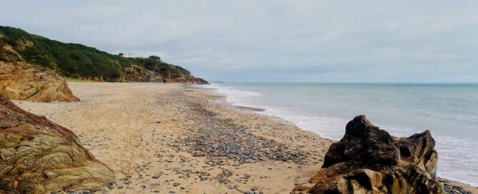 wexford ireland redundancies
